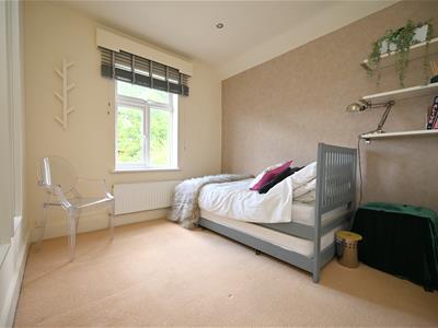 Picture 21